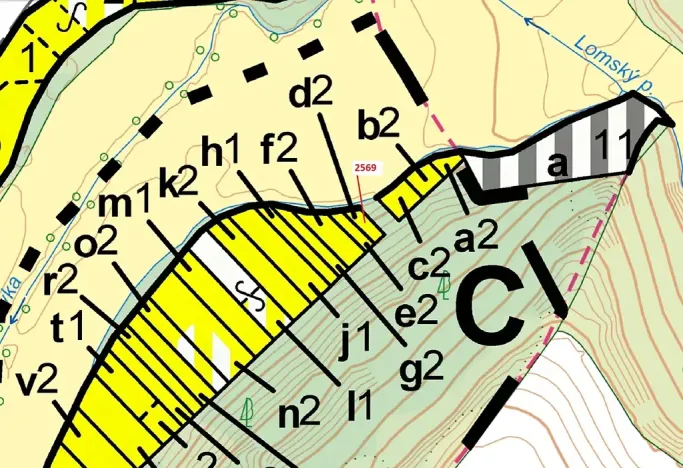 Dražba lesa, Chotěbudice, 155 m2