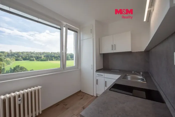 Pronájem bytu 1+1, Hradec Králové - Moravské Předměstí, Sezemická, 33 m2