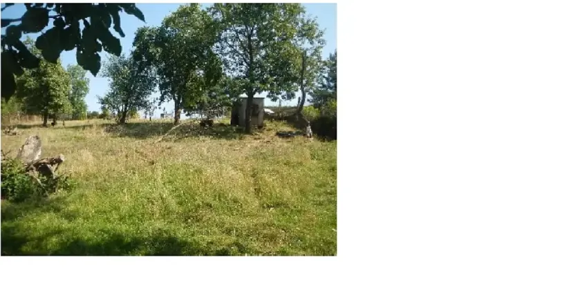 Dražba rodinného domu, Vojslavice, 183 m2
