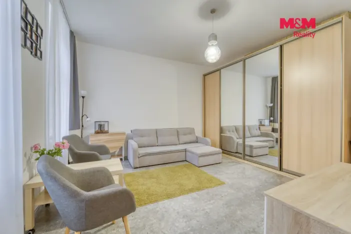 Prodej bytu 1+kk, Plzeň - Východní Předměstí, Plzenecká, 30 m2