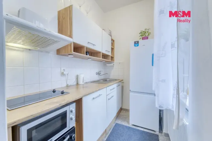 Prodej bytu 1+kk, Plzeň - Východní Předměstí, Plzenecká, 30 m2