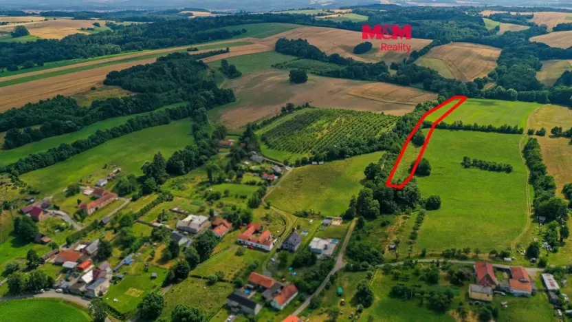 Prodej louky, Polom, 11803 m2