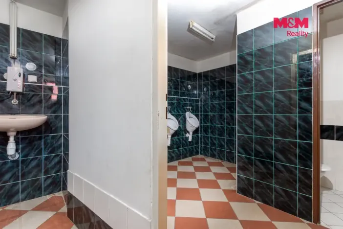Prodej restaurace, Chrast - Podlažice, 631 m2