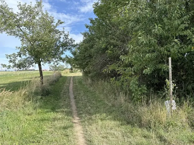 Prodej zahrady, Říčany, Do Lehovic, 2317 m2