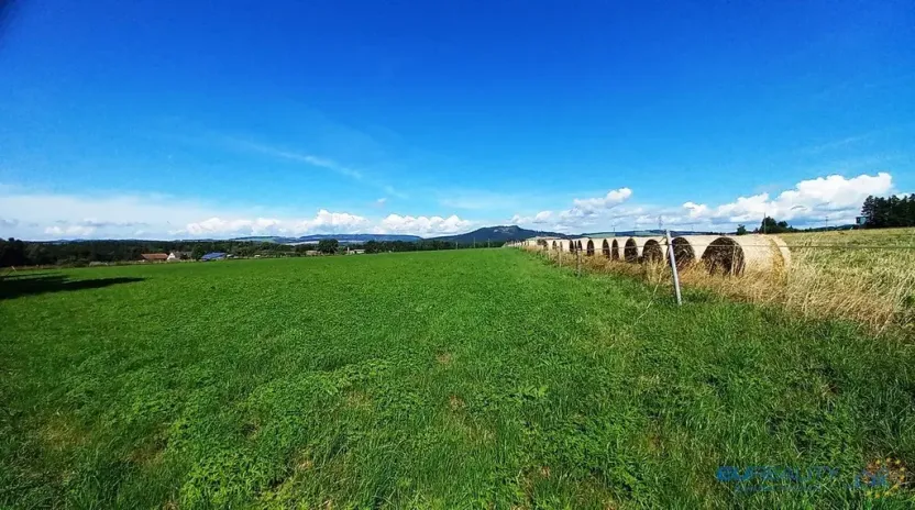 Prodej louky, Police nad Metují, 17068 m2