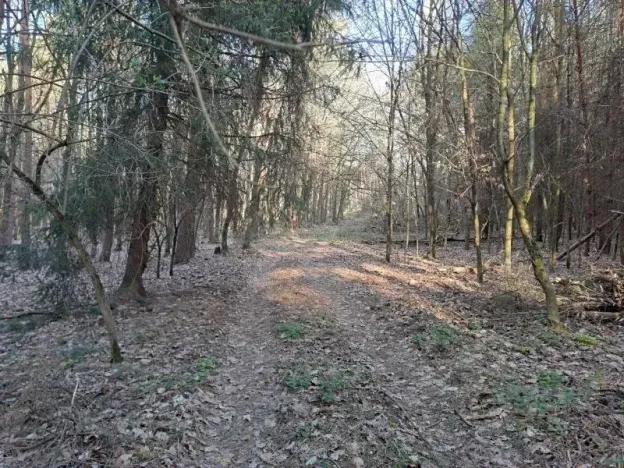 Prodej pozemku, Probulov, 3017 m2