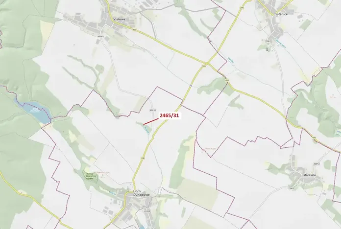 Dražba lesa, Horní Dunajovice, 263 m2