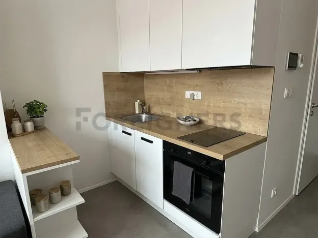 Pronájem bytu 1+kk, Praha, Plzeňská, 20 m2