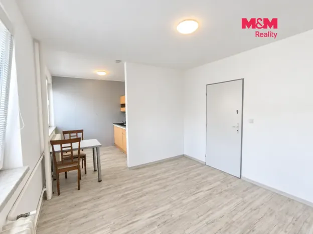 Pronájem bytu 1+kk, Hradec Králové, Sušilova, 32 m2