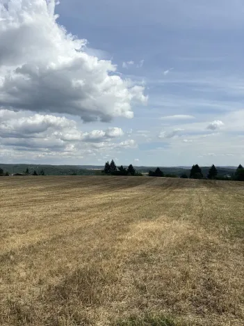 Prodej pozemku, Brno, Vejrostova, 2440 m2