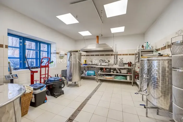 Prodej ubytování, Lhenice, 300 m2