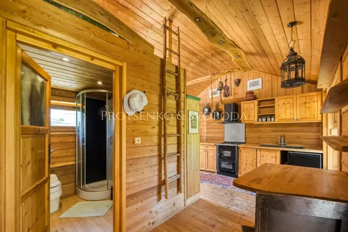 Prodej zemědělské usedlosti, Lhenice, 300 m2