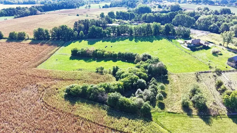 Prodej pozemku pro bydlení, Albrechtice nad Orlicí, 960 m2
