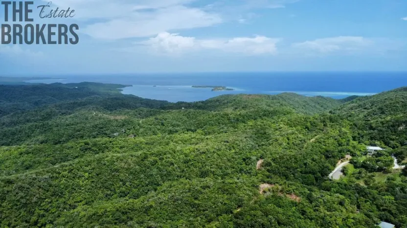 Prodej bytu 3+kk, Roatan, Roatán, Honduras, 111 m2