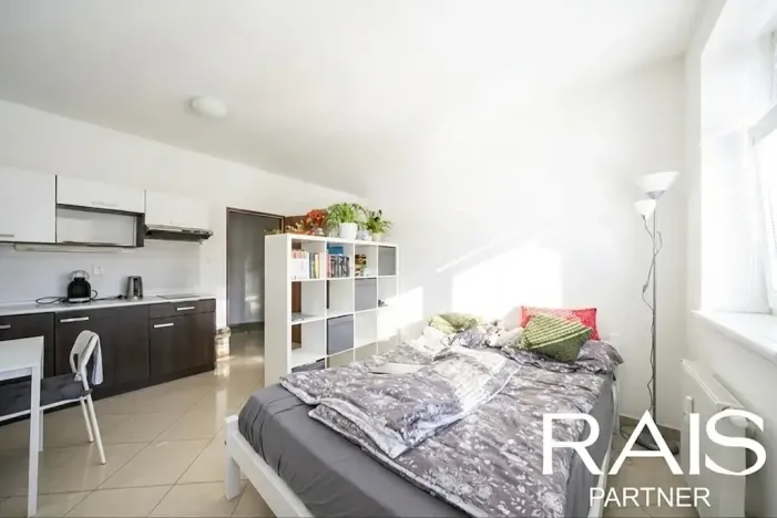 Prodej bytu 1+kk, Brno, 29 m2