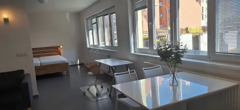 Pronájem bytu 1+kk, Brno, Stará, 46 m2