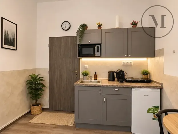 Prodej apartmánu, Benešov nad Černou, 17 m2