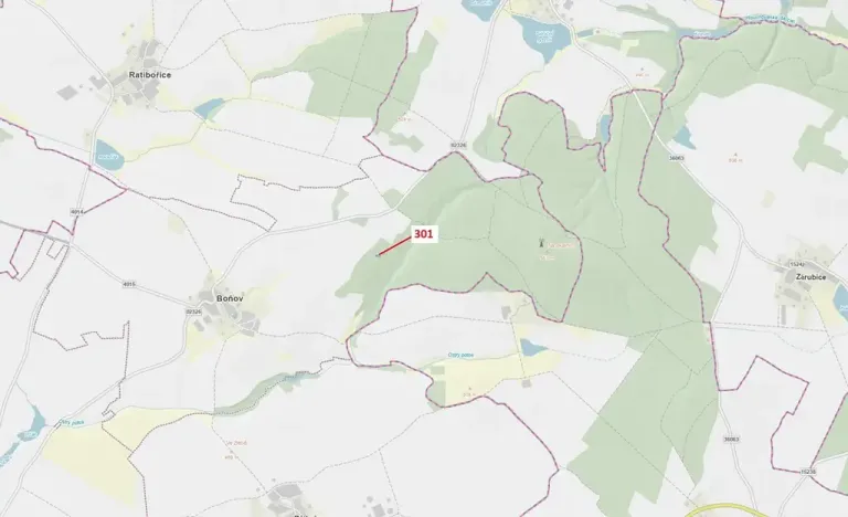 Dražba lesa, Jaroměřice nad Rokytnou, 579 m2