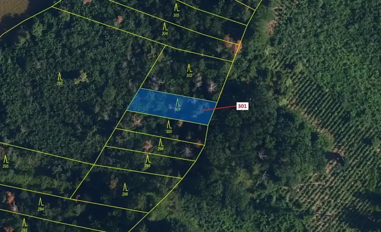 Dražba lesa, Jaroměřice nad Rokytnou, 579 m2
