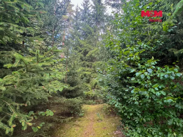 Prodej pozemku pro bydlení, Záblatí - Albrechtovice, 64409 m2