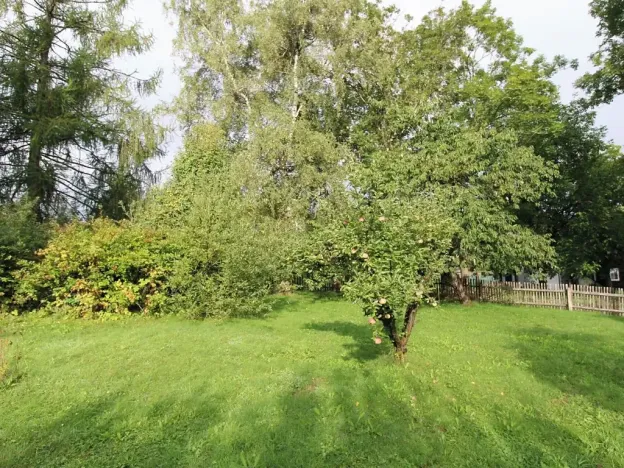 Prodej chalupy, Polevsko, 150 m2