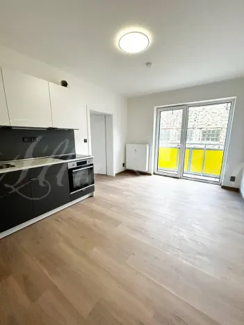 Pronájem bytu 2+kk, Brno - Zábrdovice, Bratislavská, 55 m2