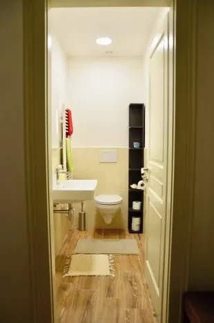 Pronájem bytu 2+kk, Praha - Vinohrady, Mánesova, 55 m2