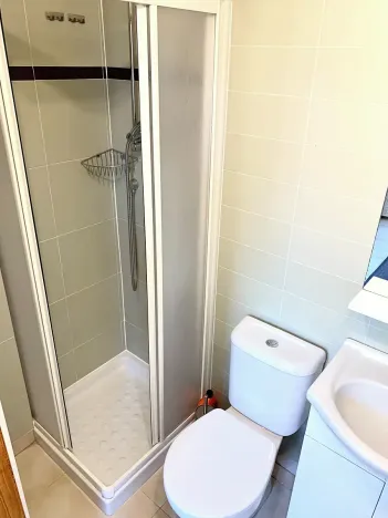 Pronájem bytu 2+kk, Praha - Žižkov, Bořivojova, 56 m2
