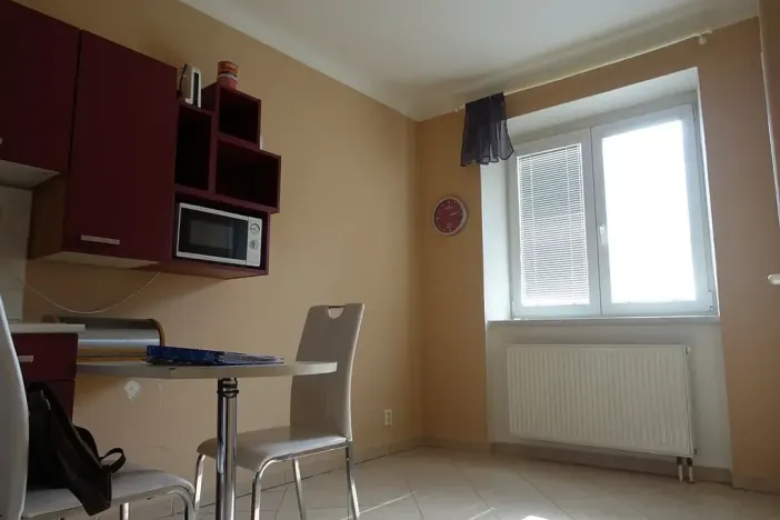 Pronájem bytu 1+1, Brno, Slatinská, 48 m2