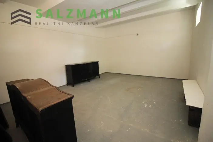Prodej skladu, Plzeň, Francouzská třída, 39 m2