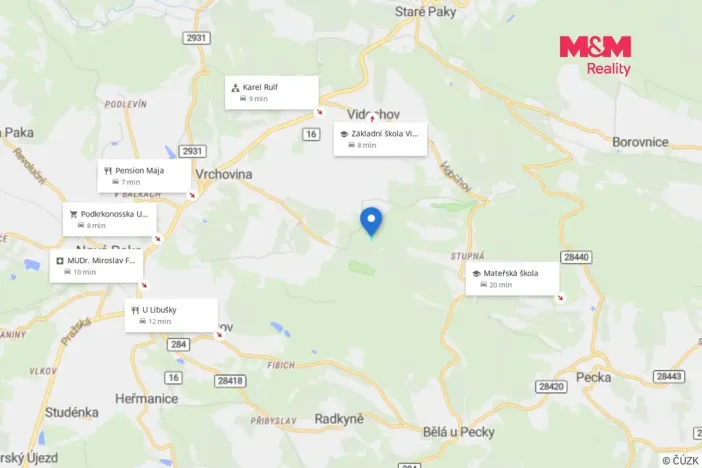 Prodej lesa, Vidochov, 8513 m2