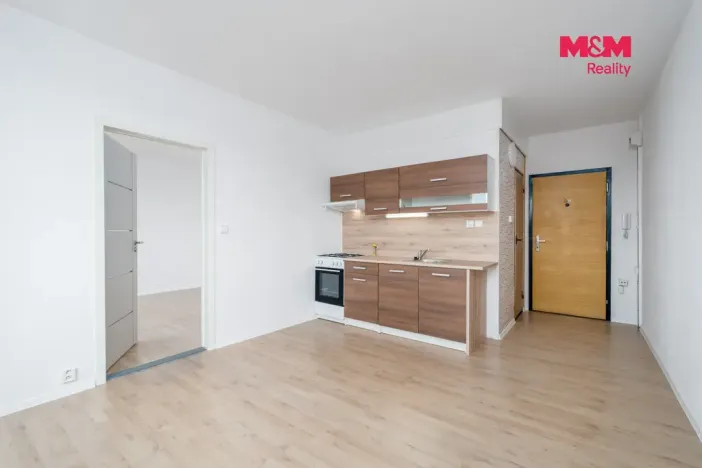 Prodej bytu 1+1, Ústí nad Labem, Kmochova, 33 m2