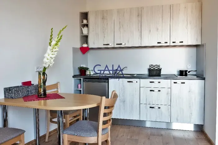 Pronájem bytu 1+kk, Prostějov, Kostelecká, 30 m2