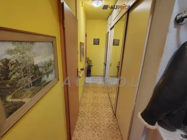Prodej bytu 2+1, Praha - Braník, Nad lesním divadlem, 62 m2