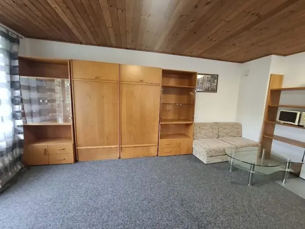 Pronájem bytu 1+kk, Brno, Viniční, 29 m2