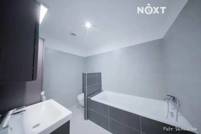 Prodej bytu 2+kk, Brno, U Leskavy, 51 m2