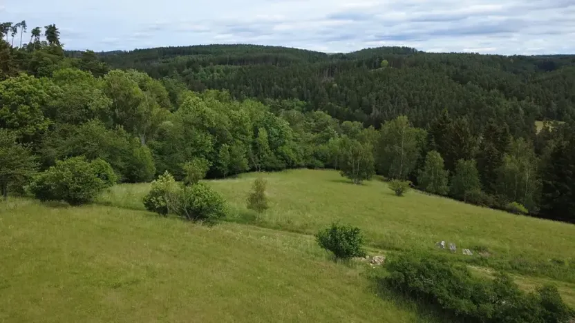 Prodej pozemku pro bydlení, Planá, 2215 m2