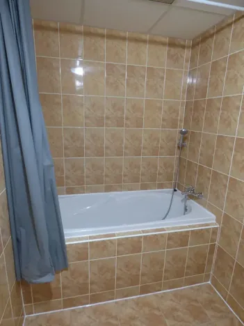 Pronájem bytu 1+kk, Brno, Heršpická, 23 m2