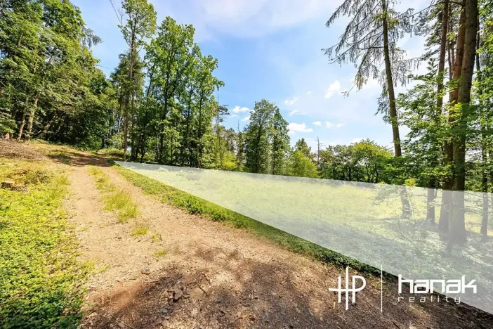 Prodej pozemku pro bydlení, Hluchov, 3150 m2