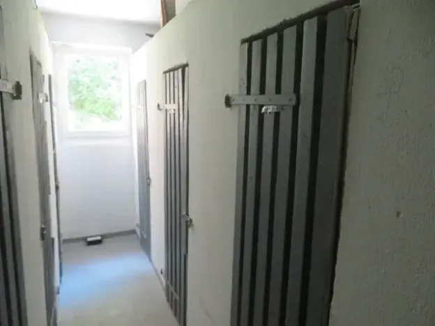 Dražba bytu 3+1, Kraslice, Čs. armády, 69 m2
