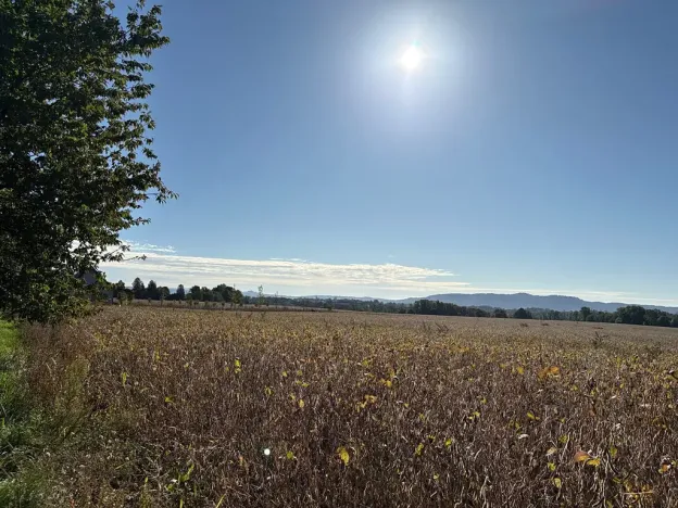 Prodej pozemku pro bydlení, Chocnějovice, 5680 m2