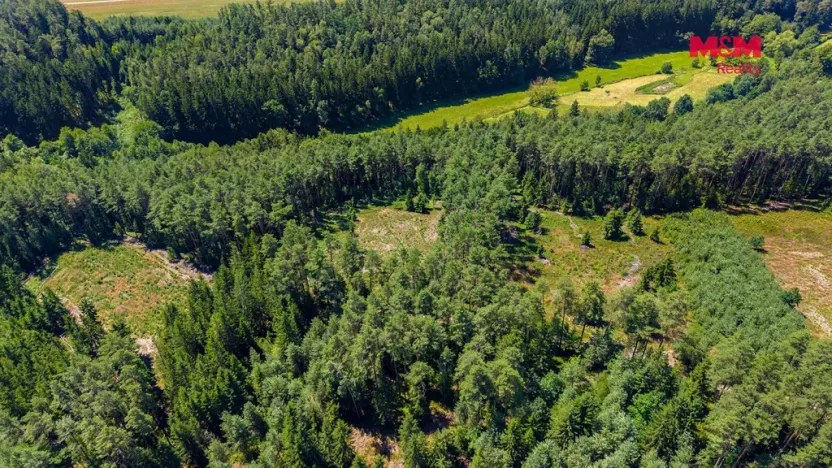 Prodej lesa, Bílá, 22447 m2