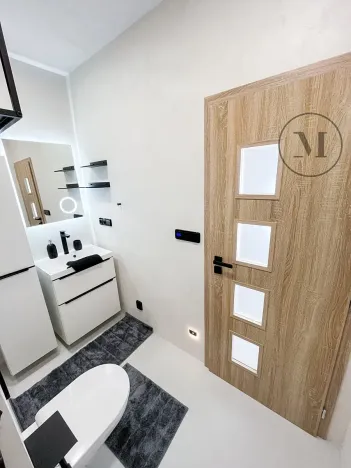 Pronájem bytu 1+1, České Budějovice, Puklicova, 41 m2