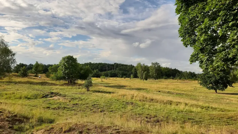 Pronájem bytu 1+1, Mladá Boleslav - Mladá Boleslav II, Svojsíkova, 38 m2