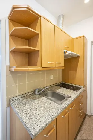 Pronájem bytu 1+kk, Praha - Libeň, Krejčího, 30 m2