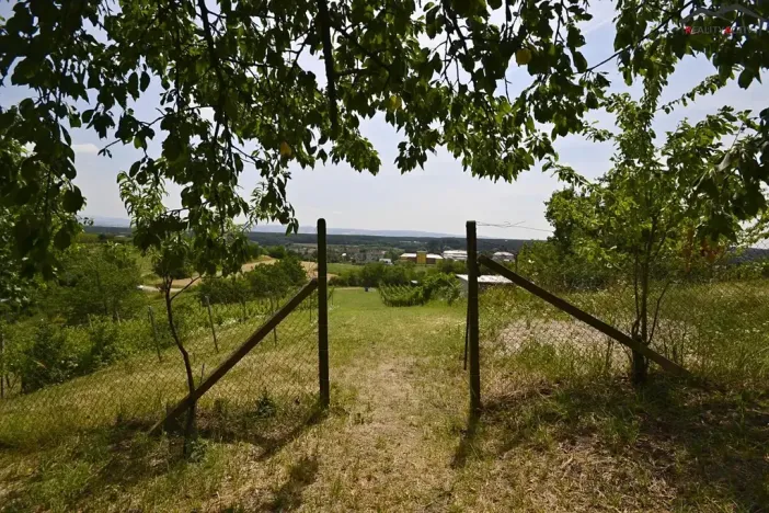 Prodej sadu/vinice, Bzenec, 2460 m2
