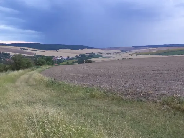 Dražba pole, Morkůvky, 4541 m2