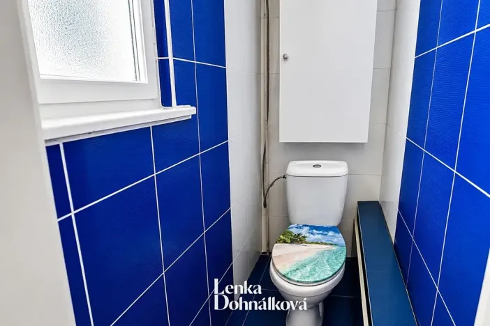 Prodej bytu 1+1, Hodonín, Nádražní řádek, 63 m2