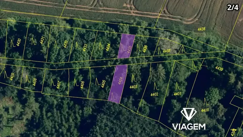 Prodej podílu lesa, Lukovany, 4460 m2