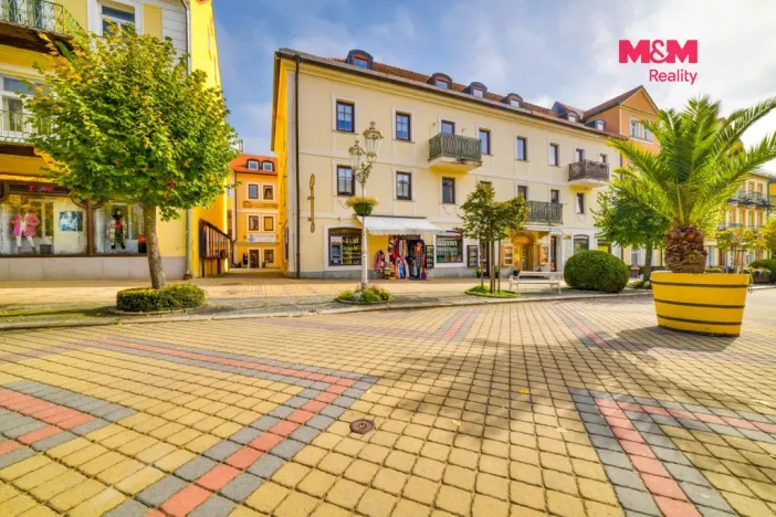 Pronájem bytu 1+kk, Františkovy Lázně, Národní, 30 m2